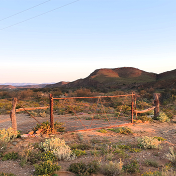 The Review Challenge: The Place